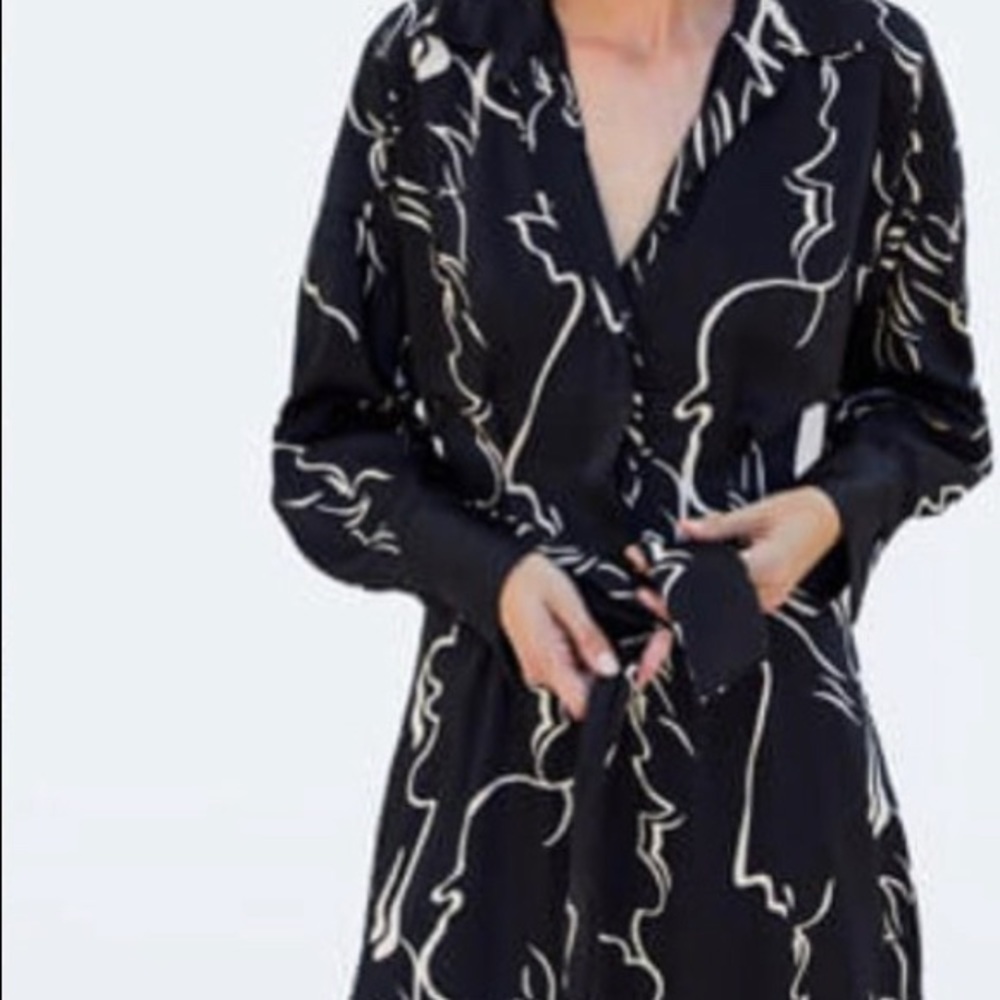 COPY - Zara dress - Picture 2 of 12